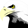 Bald Eagle Head Clip Art